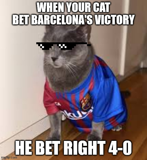 Barcelona cat | WHEN YOUR CAT BET BARCELONA'S VICTORY; HE BET RIGHT 4-0 | image tagged in cat | made w/ Imgflip meme maker