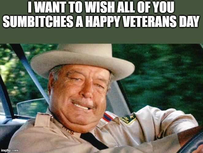 Happy Veterans Day 2024 | I WANT TO WISH ALL OF YOU SUMBITCHES A HAPPY VETERANS DAY | image tagged in happy veterans day,veterans day,sheriff buford t justice,veterans,funny,memes | made w/ Imgflip meme maker