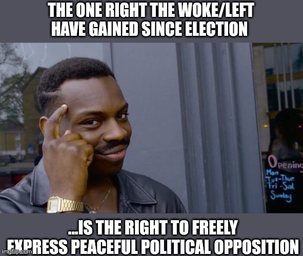 Trump won't shadow ban you assholes.... | THE ONE RIGHT THE WOKE/LEFT HAVE GAINED SINCE ELECTION; ...IS THE RIGHT TO FREELY EXPRESS PEACEFUL POLITICAL OPPOSITION | image tagged in memes,roll safe think about it | made w/ Imgflip meme maker