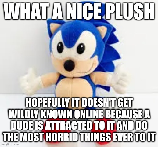 WHAT A NICE PLUSH; HOPEFULLY IT DOESN'T GET WILDLY KNOWN ONLINE BECAUSE A DUDE IS ATTRACTED TO IT AND DO THE MOST HORRID THINGS EVER TO IT | made w/ Imgflip meme maker