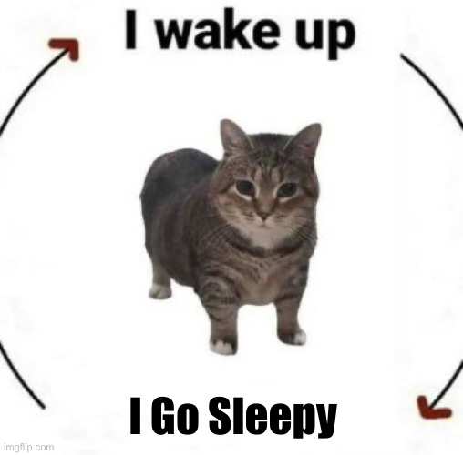 i wake up cat | I Go Sleepy | image tagged in i wake up cat | made w/ Imgflip meme maker