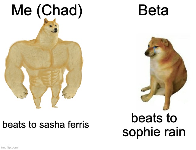 sheesh bruddas can u relate? lolz :/ | Me (Chad); Beta; beats to sasha ferris; beats to sophie rain | image tagged in memes,buff doge vs cheems | made w/ Imgflip meme maker