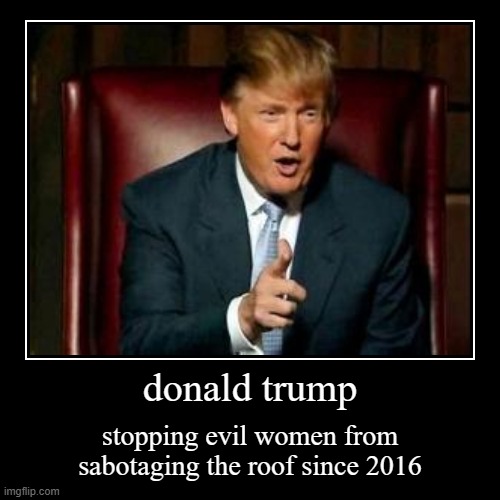 donald trump | stopping evil women from sabotaging the roof since 2016 | image tagged in funny,demotivationals | made w/ Imgflip demotivational maker