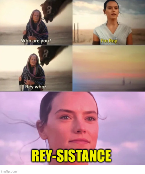 Who? | REY-SISTANCE | image tagged in rey who,star wars,resistance,the resistance,the rise of skywalker,ray skywalker | made w/ Imgflip meme maker