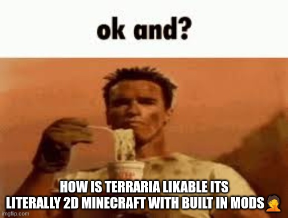 ok and? | HOW IS TERRARIA LIKABLE ITS LITERALLY 2D MINECRAFT WITH BUILT IN MODS🤦 | image tagged in ok and | made w/ Imgflip meme maker