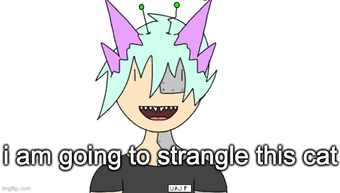 YOU FUCKING DUMBASS I BANNED YOU FROM MY ROOM FOR A REASON STOP GOING IN THERE EVERY CHANCE YOU GET | i am going to strangle this cat | image tagged in radioactivian stare | made w/ Imgflip meme maker