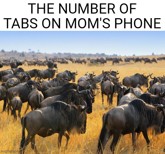 Wildebeest Mom's Phone Meme | THE NUMBER OF TABS ON MOM'S PHONE | image tagged in herd of wildebeests gnus in africa,phone | made w/ Imgflip meme maker