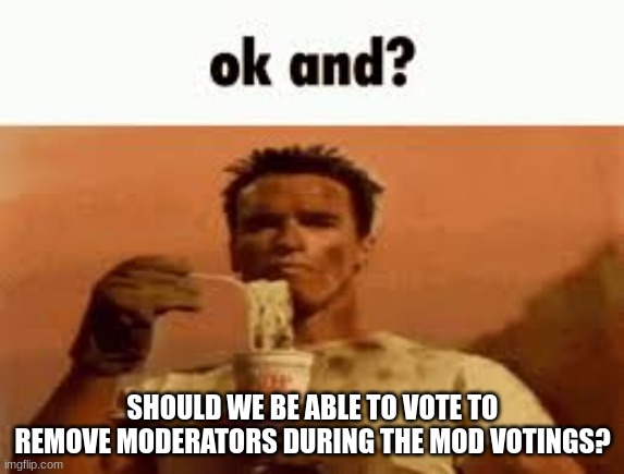 ok and? | SHOULD WE BE ABLE TO VOTE TO REMOVE MODERATORS DURING THE MOD VOTINGS? | image tagged in ok and | made w/ Imgflip meme maker