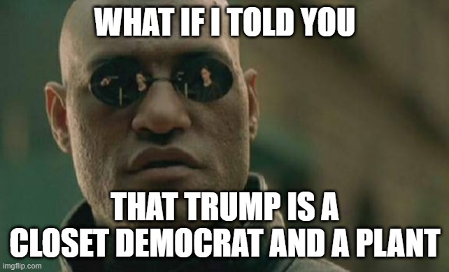 Trump is a Democrat Plant | WHAT IF I TOLD YOU; THAT TRUMP IS A CLOSET DEMOCRAT AND A PLANT | image tagged in memes,matrix morpheus | made w/ Imgflip meme maker