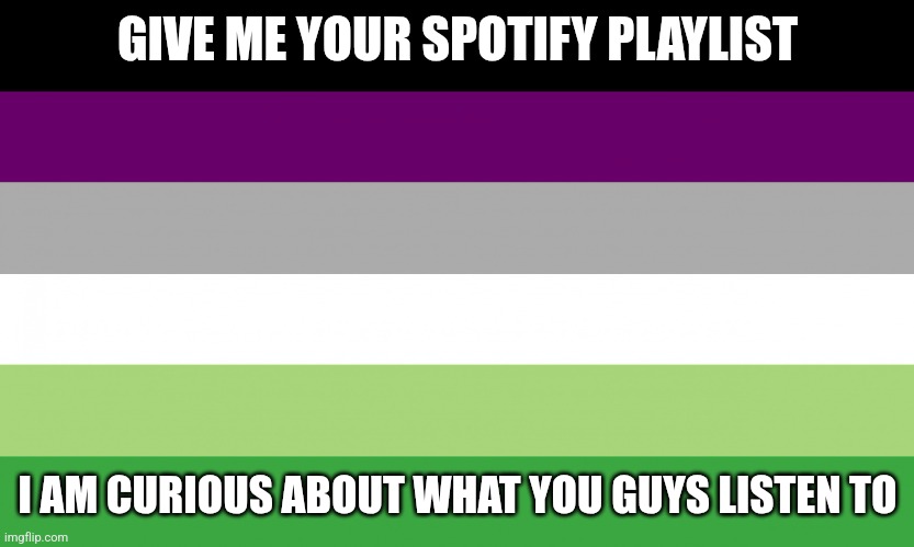 Mine is in the comments | GIVE ME YOUR SPOTIFY PLAYLIST; I AM CURIOUS ABOUT WHAT YOU GUYS LISTEN TO | image tagged in aroace flag,spotify | made w/ Imgflip meme maker