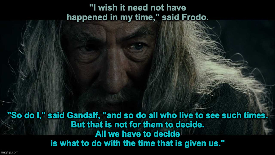 Gandalf Speaking to Frodo | "I wish it need not have happened in my time," said Frodo. "So do I," said Gandalf, "and so do all who live to see such times.
But that is not for them to decide.
All we have to decide
is what to do with the time that is given us." | image tagged in gandalf in moria | made w/ Imgflip meme maker