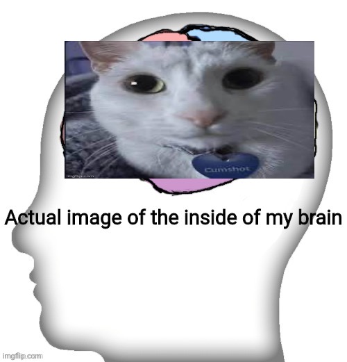 Yes | made w/ Imgflip meme maker