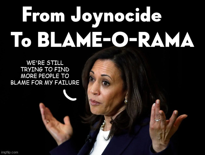 The Blame Game | WE'RE STILL TRYING TO FIND MORE PEOPLE TO BLAME FOR MY FAILURE; ( | image tagged in kamala harris,election 2024,the biggest loser,blame game,democrats,crying liberal | made w/ Imgflip meme maker