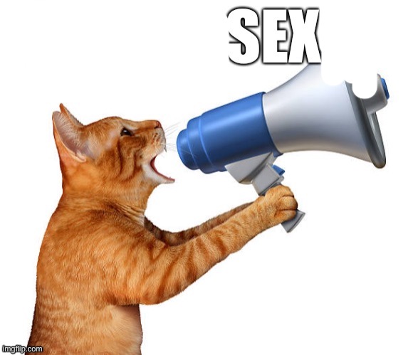 QUEIRO SEXO? | image tagged in queiro sexo | made w/ Imgflip meme maker