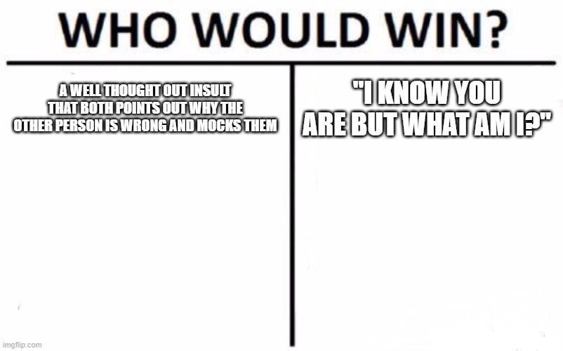 Who Would Win? | A WELL THOUGHT OUT INSULT THAT BOTH POINTS OUT WHY THE OTHER PERSON IS WRONG AND MOCKS THEM; "I KNOW YOU ARE BUT WHAT AM I?" | image tagged in memes,who would win | made w/ Imgflip meme maker