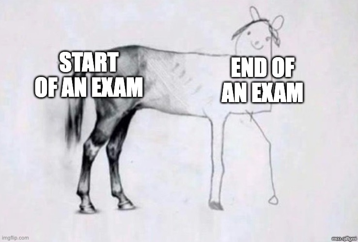 The last part of my exams look rushed lol | START OF AN EXAM; END OF AN EXAM | image tagged in horse drawing | made w/ Imgflip meme maker