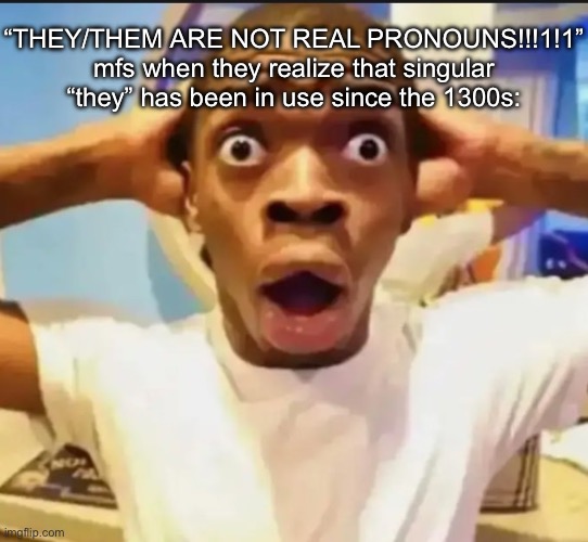 Surprised Black Guy | “THEY/THEM ARE NOT REAL PRONOUNS!!!1!1” mfs when they realize that singular “they” has been in use since the 1300s: | image tagged in surprised black guy | made w/ Imgflip meme maker