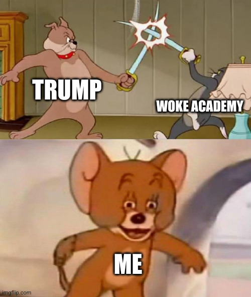 Tom and Jerry swordfight | TRUMP; WOKE ACADEMY; ME | image tagged in tom and jerry swordfight | made w/ Imgflip meme maker