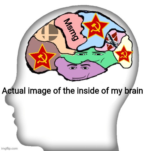 Actual image of the inside of my brain | Msmg | image tagged in actual image of the inside of my brain | made w/ Imgflip meme maker