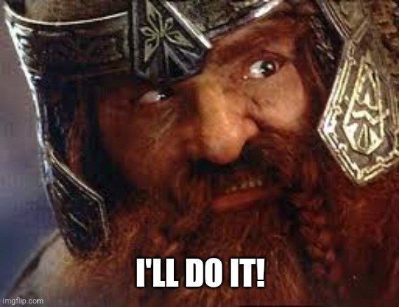 You have my Gimli | I'LL DO IT! | image tagged in you have my gimli | made w/ Imgflip meme maker