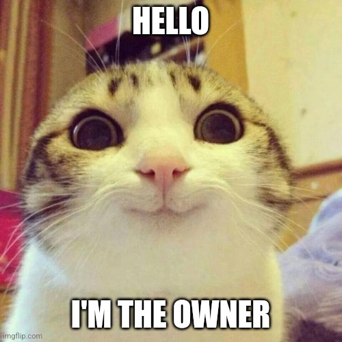 Welcome to funny-world | HELLO; I'M THE OWNER | image tagged in memes,smiling cat | made w/ Imgflip meme maker