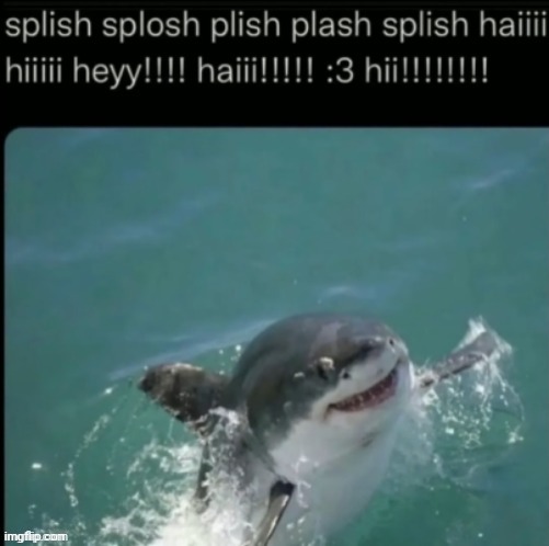 splish splosh plish  plash | image tagged in splash,water,memes,reposts,repost,meme | made w/ Imgflip meme maker