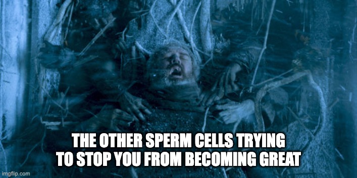 Hodor at the Door | THE OTHER SPERM CELLS TRYING TO STOP YOU FROM BECOMING GREAT | image tagged in hodor at the door | made w/ Imgflip meme maker