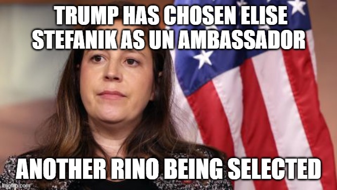 Globalist Shill!! What is Trump Doing | TRUMP HAS CHOSEN ELISE STEFANIK AS UN AMBASSADOR; ANOTHER RINO BEING SELECTED | image tagged in elise stefanik,rino,globalism | made w/ Imgflip meme maker