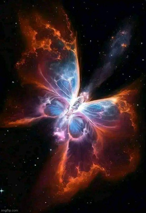 Butterfly Nebula Image credit:Talon Abraxas | image tagged in space,nebula,outer space,awesome,pic | made w/ Imgflip meme maker