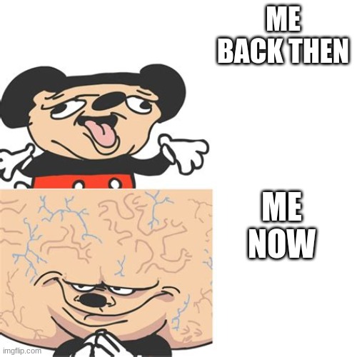 Mickey Mouse Smart Dumb | ME BACK THEN; ME NOW | image tagged in mickey mouse smart dumb | made w/ Imgflip meme maker