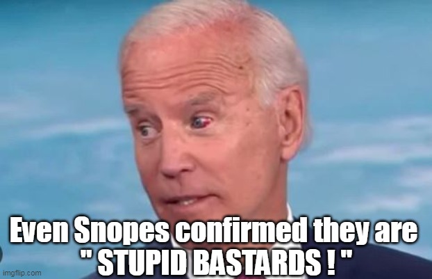 Even Snopes confirmed they are 
" STUPID BASTARDS ! " | made w/ Imgflip meme maker