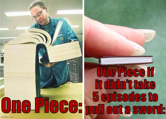 Big book little book | One Piece if it didn't take 5 episodes to pull out a sword:; One Piece: | image tagged in big book little book,one piece | made w/ Imgflip meme maker