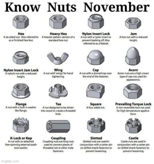 KNN. No Bolts Allowed! | image tagged in nnn,know,nuts,november,funny memes,reposts | made w/ Imgflip meme maker