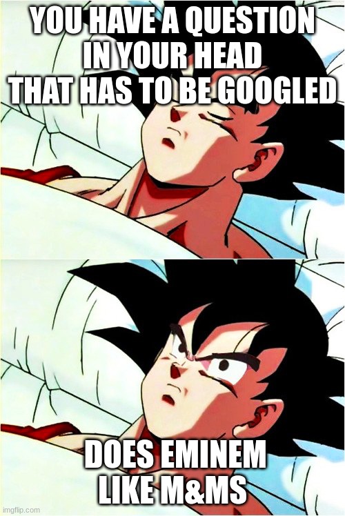 google | YOU HAVE A QUESTION IN YOUR HEAD THAT HAS TO BE GOOGLED; DOES EMINEM LIKE M&MS | image tagged in goku sleeping wake up | made w/ Imgflip meme maker