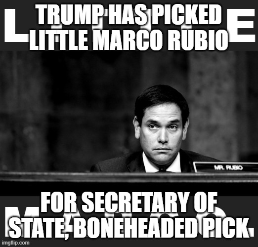 He has Ties To Big Pharma! Not a Very wise Pick | TRUMP HAS PICKED LITTLE MARCO RUBIO; FOR SECRETARY OF STATE, BONEHEADED PICK | image tagged in little marco rubio,rino,republicans | made w/ Imgflip meme maker