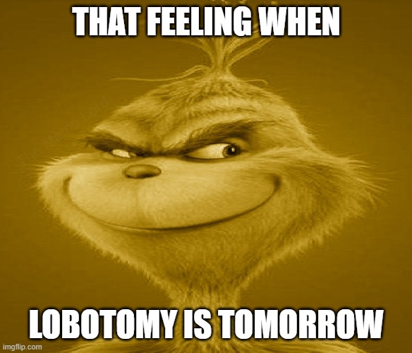 that feeling when lobotomy is tomorrow | image tagged in grinch,the grinch,that feeling when | made w/ Imgflip meme maker