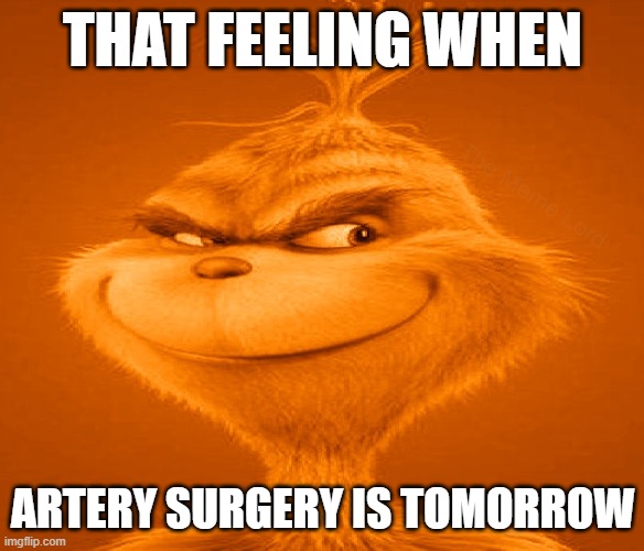 that feeling when artery surgery is tomorrow | image tagged in grinch,the grinch,that feeling when | made w/ Imgflip meme maker