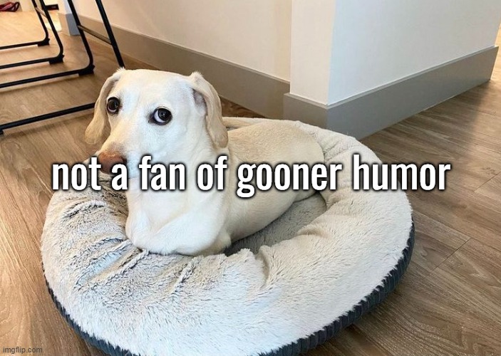 "repost if-" SHUDDUP | not a fan of gooner humor | image tagged in homophobic dog 2 | made w/ Imgflip meme maker