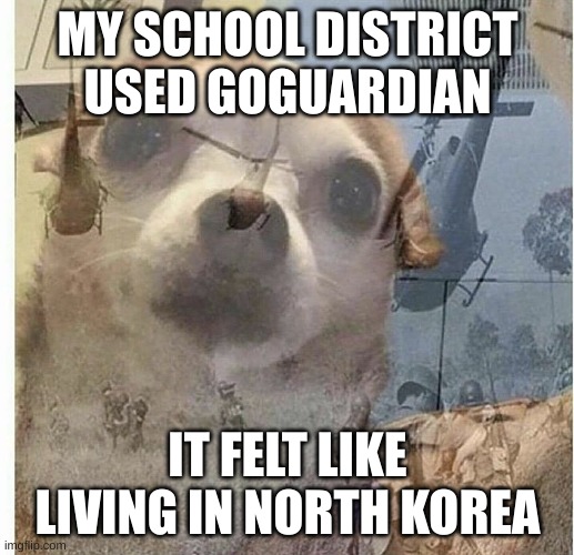 PTSD Chihuahua | MY SCHOOL DISTRICT USED GOGUARDIAN IT FELT LIKE LIVING IN NORTH KOREA | image tagged in ptsd chihuahua | made w/ Imgflip meme maker