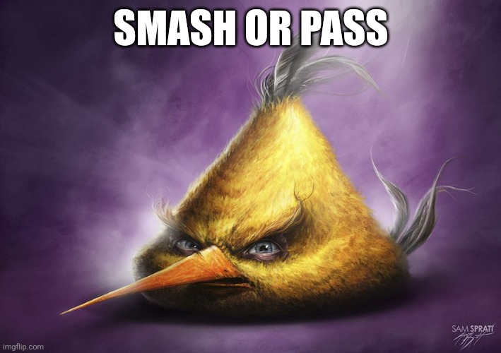 Smash or pass | SMASH OR PASS | image tagged in realistic yellow angry bird | made w/ Imgflip meme maker