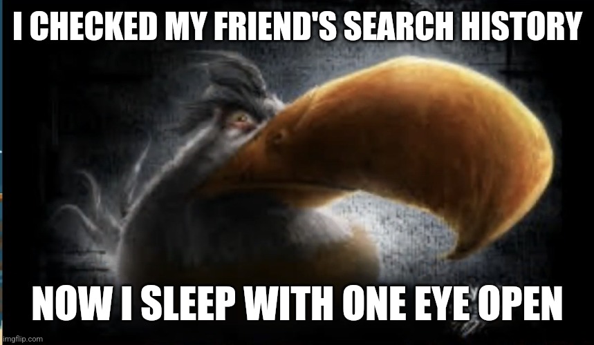 Search history | I CHECKED MY FRIEND'S SEARCH HISTORY; NOW I SLEEP WITH ONE EYE OPEN | image tagged in realistic mighty eagle | made w/ Imgflip meme maker