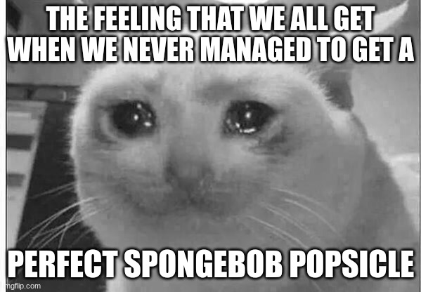 crying cat | THE FEELING THAT WE ALL GET WHEN WE NEVER MANAGED TO GET A PERFECT SPONGEBOB POPSICLE | image tagged in crying cat | made w/ Imgflip meme maker