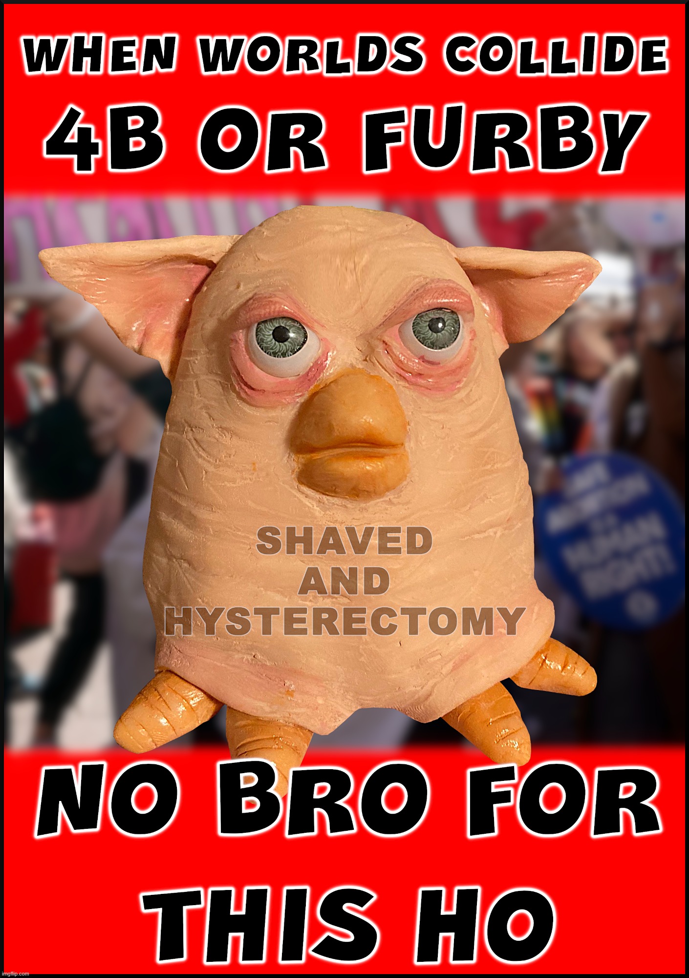 BRO-LESS FURBY or TRUMP TANTRUM | WHEN WORLDS COLLIDE
4B OR FURBY
SHAVED AND 
HYSTERECTOMY; NO BRO FOR THIS HO | image tagged in 4b,furby,shaved,bro,ho,trump tantrum | made w/ Imgflip meme maker