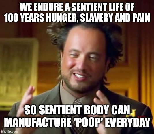 Think about it. Reasons to not reproduce. Antinatalism memes | WE ENDURE A SENTIENT LIFE OF 100 YEARS HUNGER, SLAVERY AND PAIN; SO SENTIENT BODY CAN MANUFACTURE 'POOP' EVERYDAY | image tagged in memes,ancient aliens | made w/ Imgflip meme maker