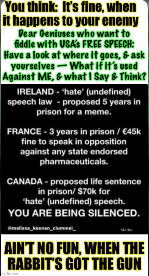 Lock up those mean tweeters & memers! | image tagged in memes,leftist control freqs can kissmyass,free speech must remain free,back off the power money control trip,or watch 2a | made w/ Imgflip meme maker