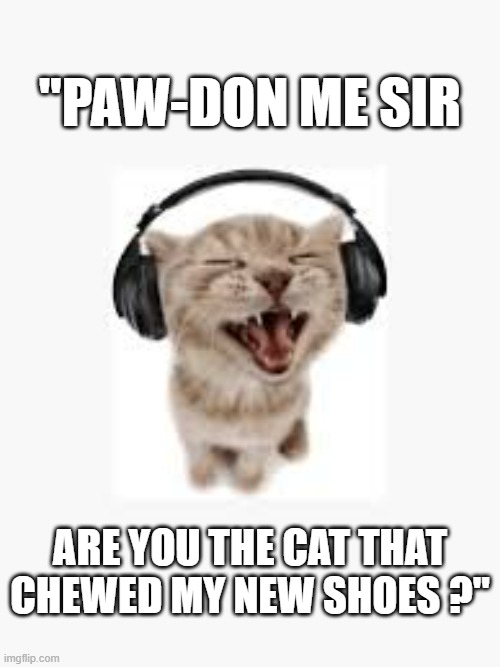 memes by Brad - My cat singing his favorite song - humor - | "PAW-DON ME SIR; ARE YOU THE CAT THAT CHEWED MY NEW SHOES ?" | image tagged in funny,cats,kitten,singing,humor,play on words | made w/ Imgflip meme maker