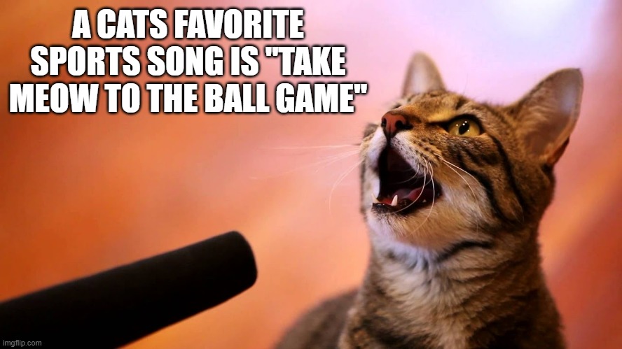 memes by Brad - cats favorite sports sone is "take meow to the ball game" | A CATS FAVORITE SPORTS SONG IS "TAKE MEOW TO THE BALL GAME" | image tagged in funny,cats,singing,baseball,kitten,humor | made w/ Imgflip meme maker