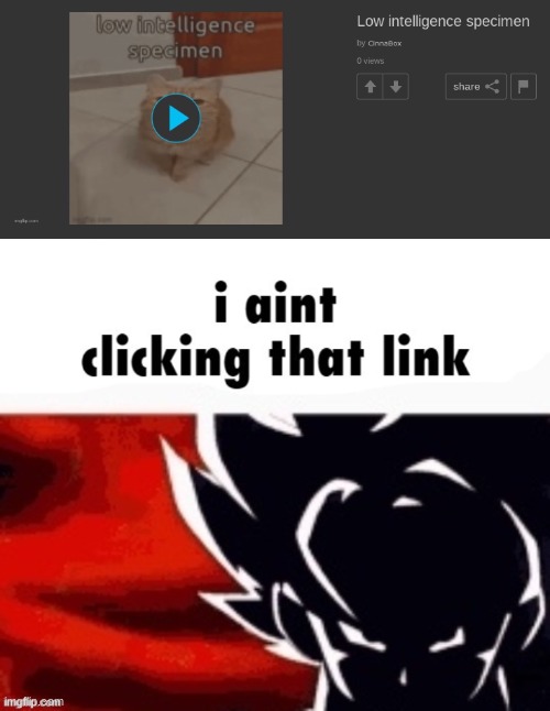 image tagged in i aint clicking that link | made w/ Imgflip meme maker