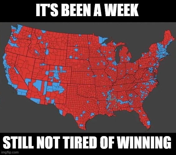 IT'S BEEN A WEEK; STILL NOT TIRED OF WINNING | made w/ Imgflip meme maker