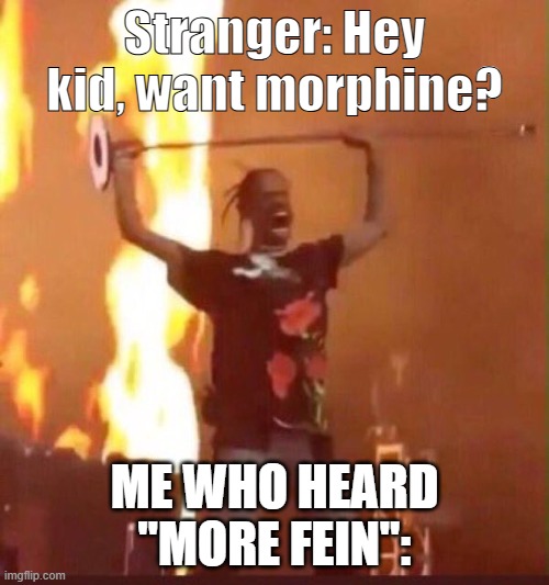 fein fein fein fein fein fein fein fein fein fein fein fein fein fein fein fein fein fein fein fein fein fein fein fein fein fei | Stranger: Hey kid, want morphine? ME WHO HEARD "MORE FEIN": | image tagged in travis scott | made w/ Imgflip meme maker